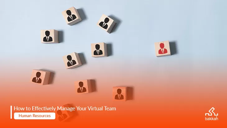 Virtual Team