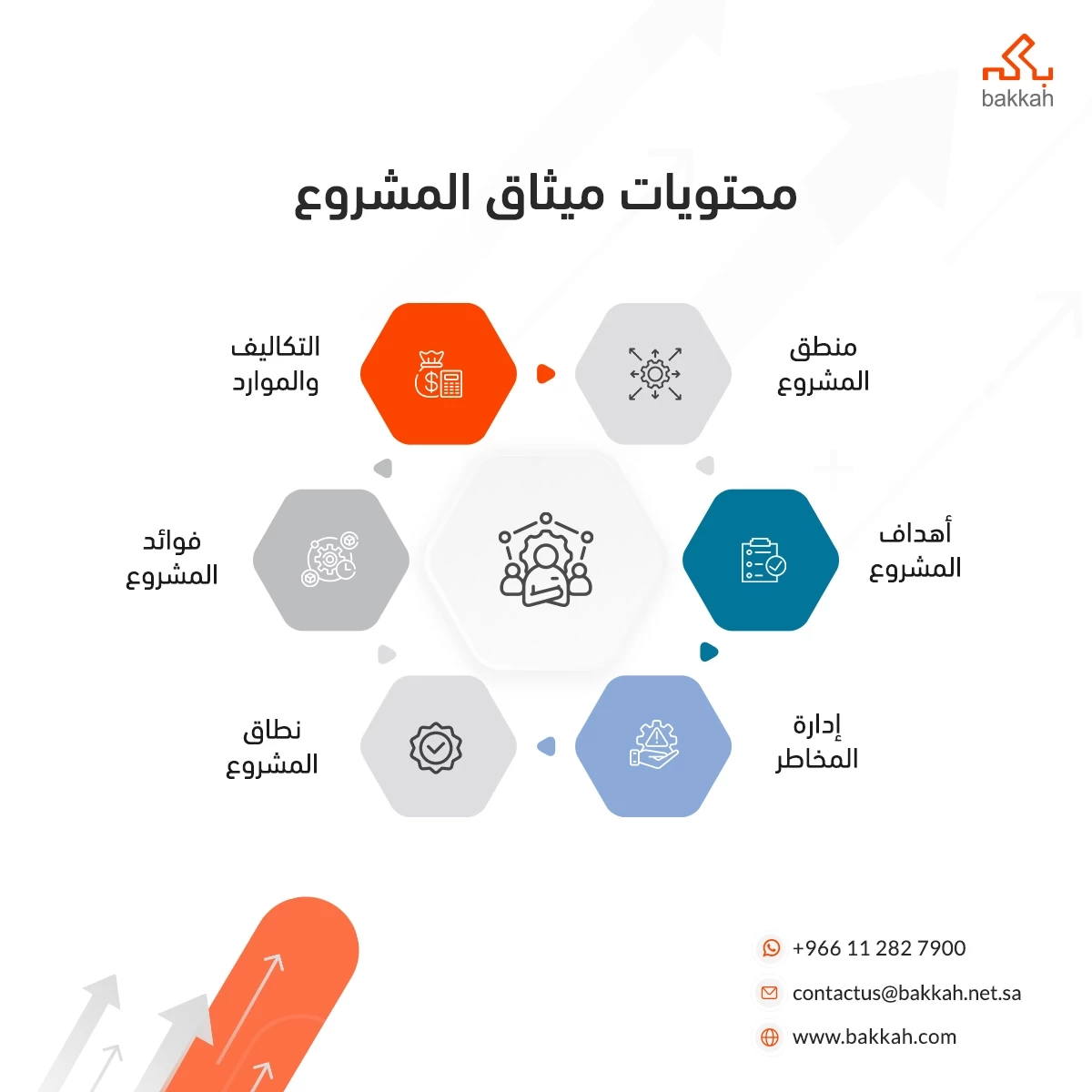 محتويات ميثاق المشروع