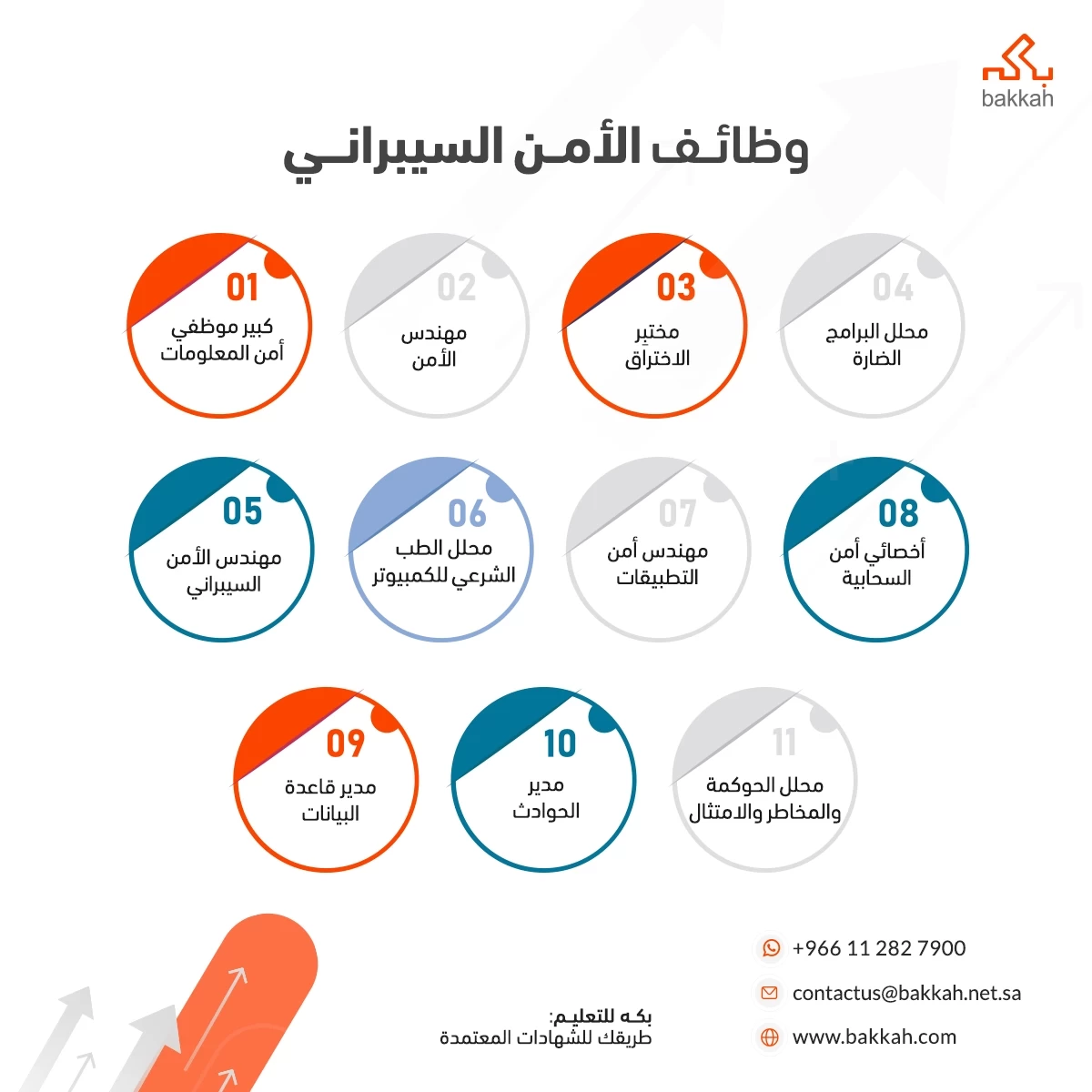 وظائف الأمن السيبراني